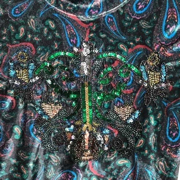 NWT - Free People WE THE FREE Velvet Paisley L'Amour bell sleeve top Size: XS - Picture 4 of 6